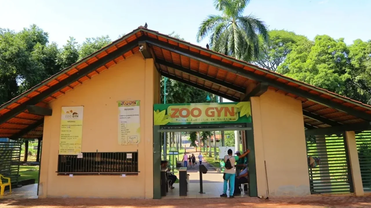 6b941f00-zoologico-gyn
