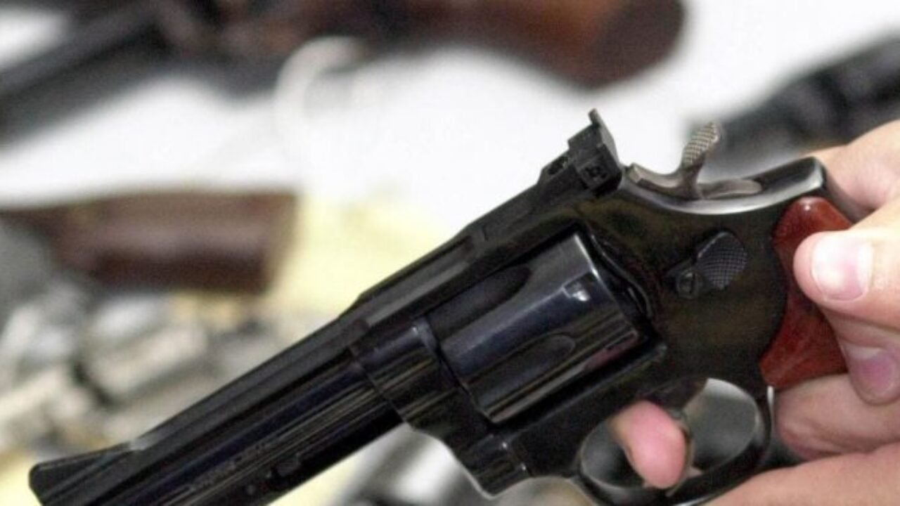 6dd0c4a3-arma-750x375-1