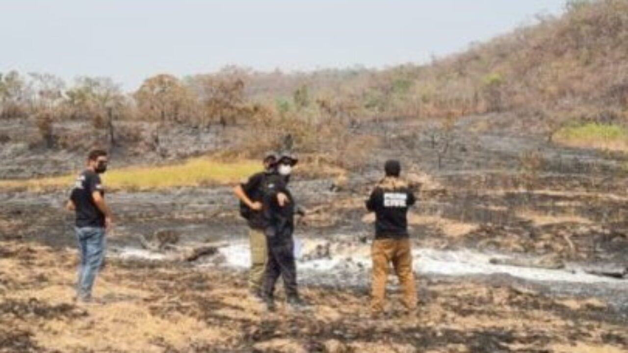 AAAA_Incendio_chapada_dos_veadeiros_B