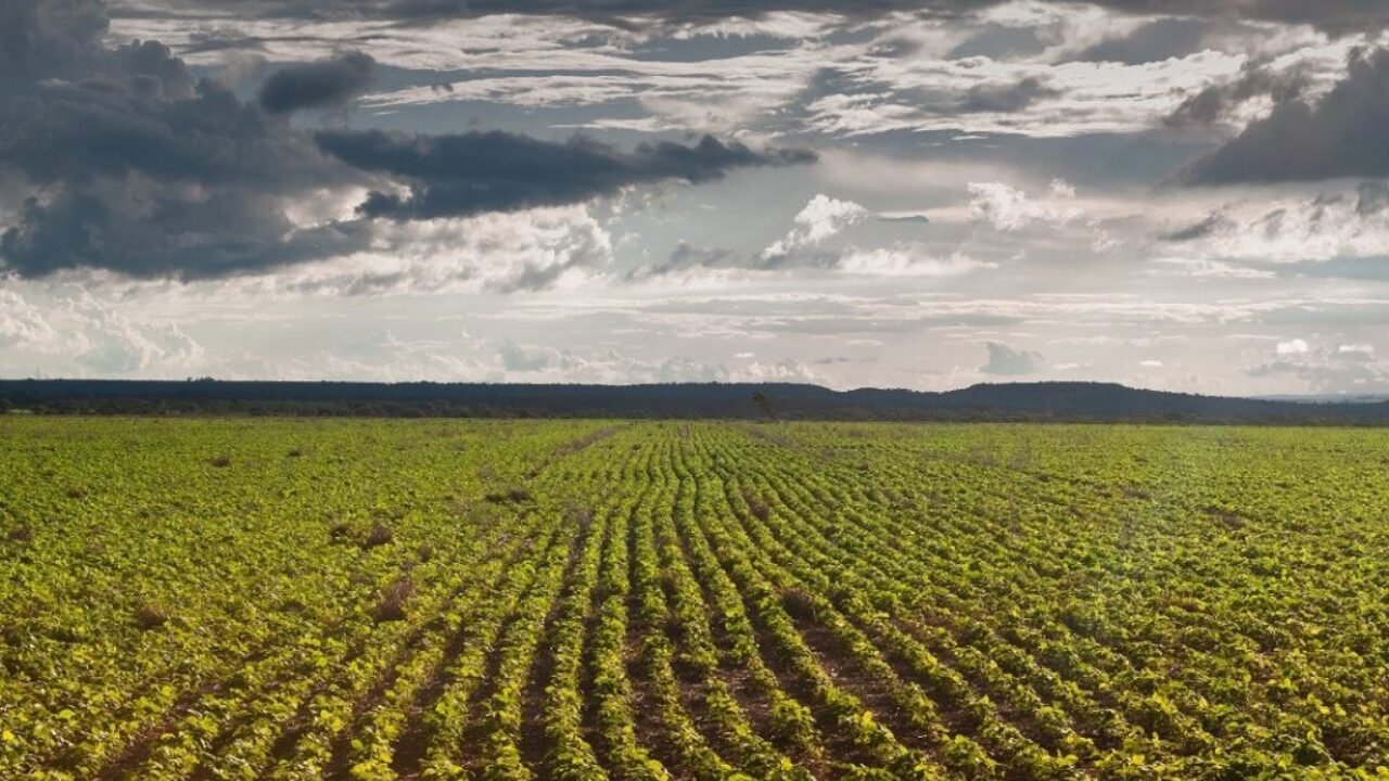 AGRODEFESA-LAVOURA-SE-SOJA-PORENIO-TAVARES-1024x680