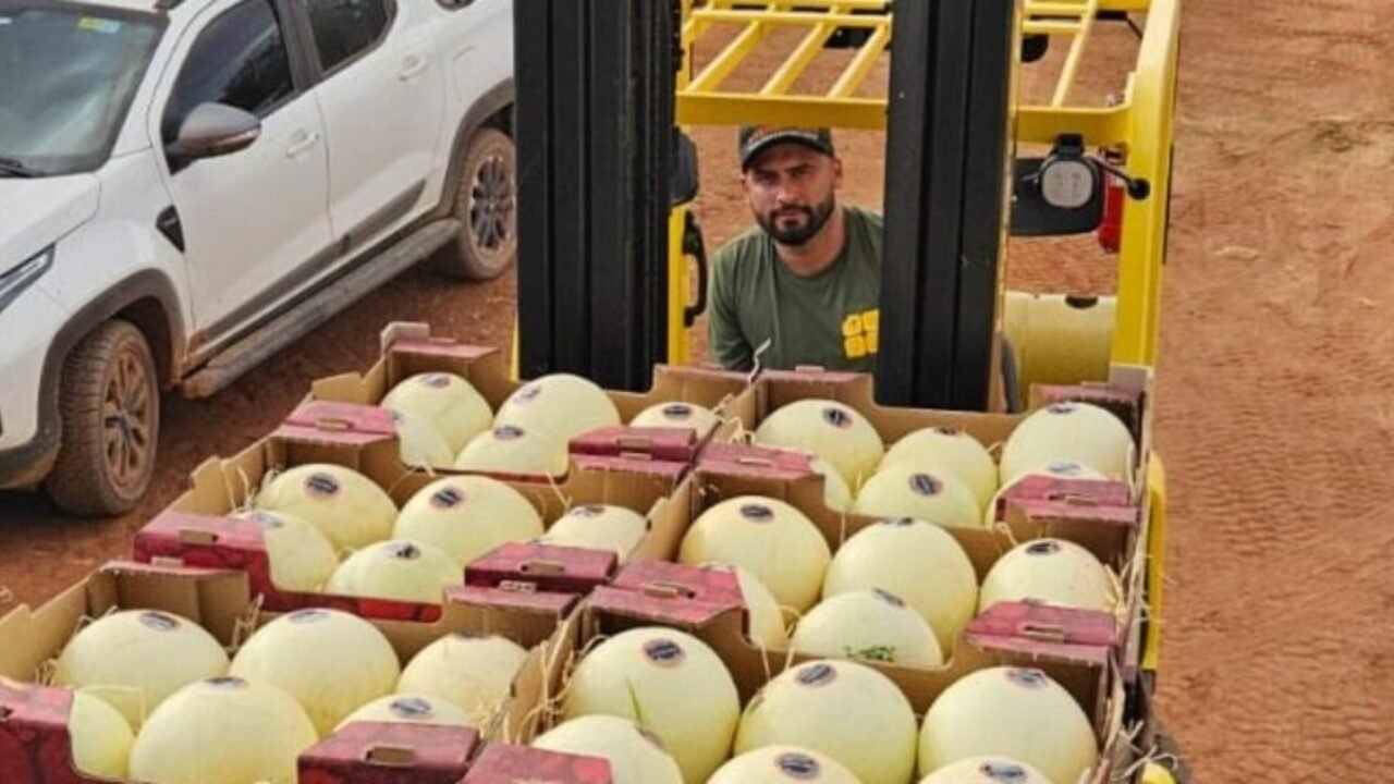 AGRODEFESA_EXPORTACAO_DE_MELAO_PARA_ARGENTINA6-1024x512