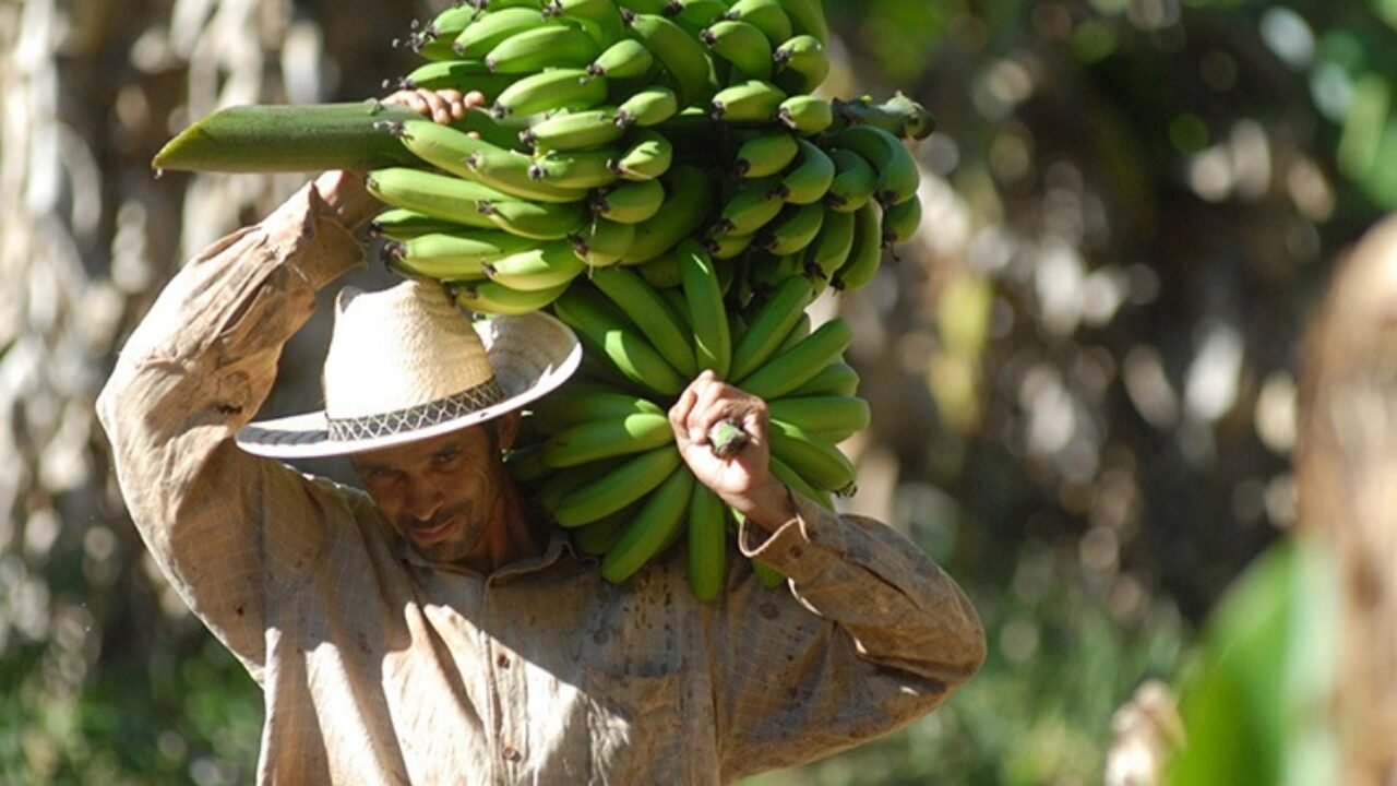 Agricultura_a