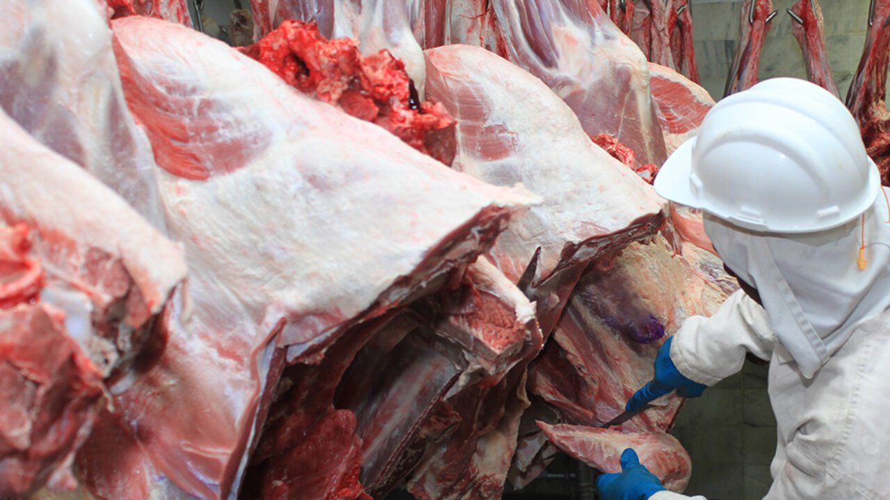 Carne_bovina_exportacao_1-3b9