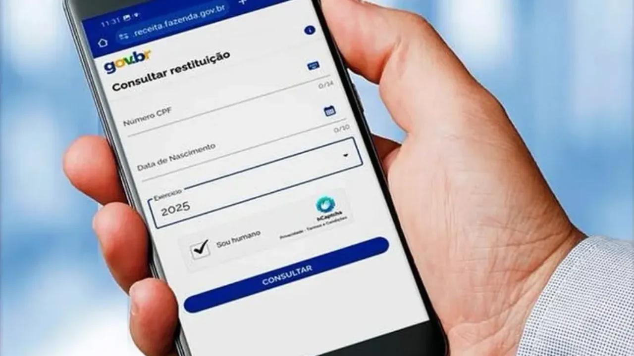 Consultar-a-restituicao-do-IR