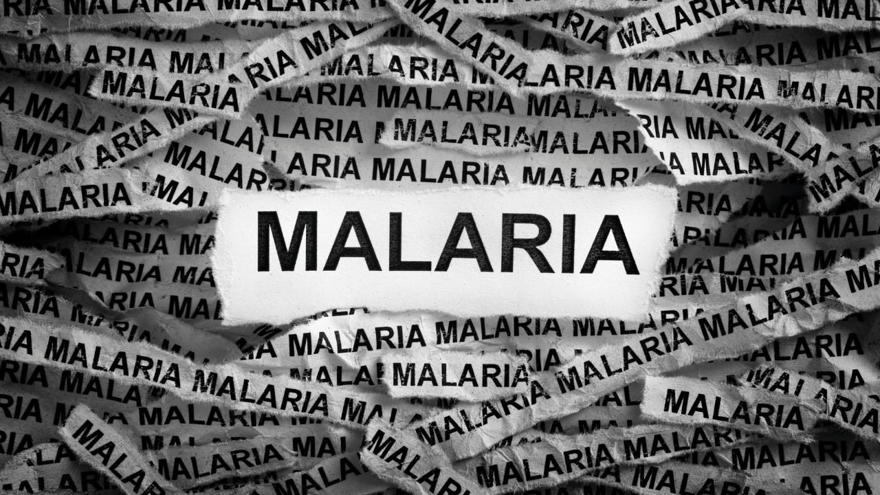 Design sem nome (12)