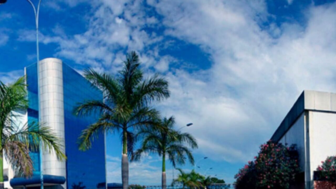 FEED   NOTÍCIAS  (7)