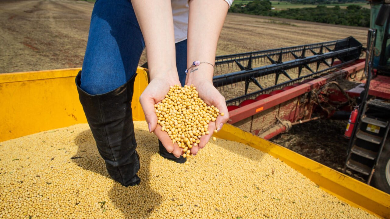 Graos_Crdito_-_Wenderson_Araujo_CNA