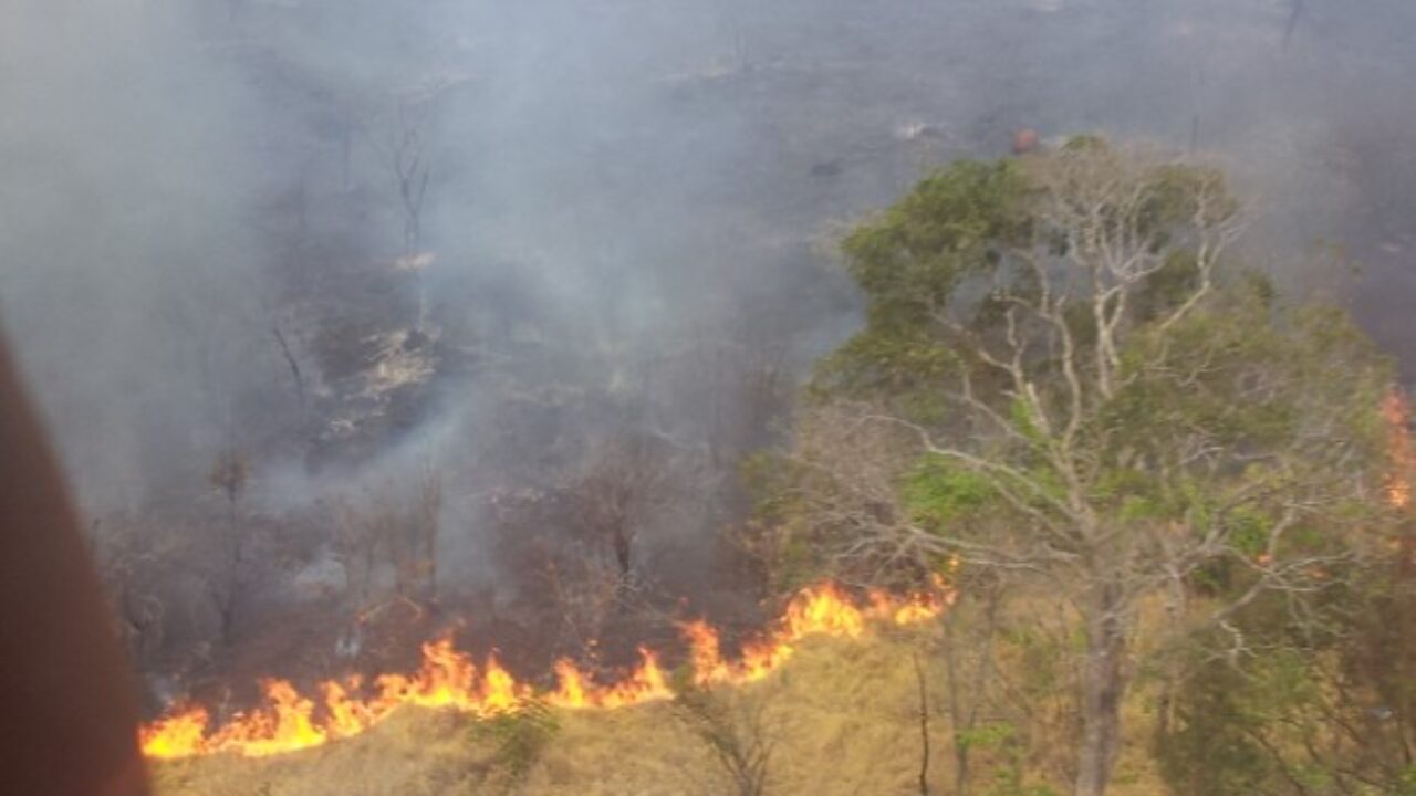 Incendio_Parque_Altamiro_Pacheco_1