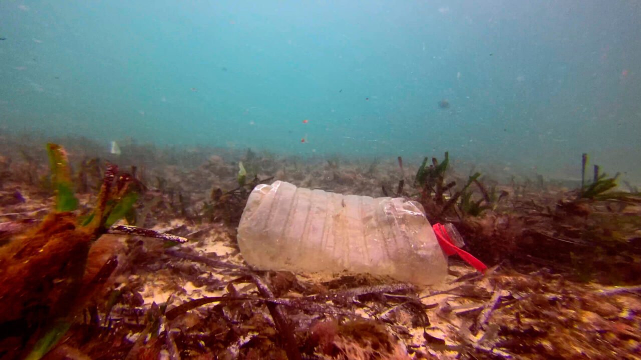 *** Local Caption *** Plastic barrel in the seabed. Global Seafloor Plastics Project Expedition. Magaluf, Mallorca, Balearic Islands, España. November 2019.

Bidón de plástico en el fondo marino. Expedición Proyecto Global Plásticos en el fondo marino. Magaluf, Mallorca, Islas Baleares, España. Noviembre 2019.