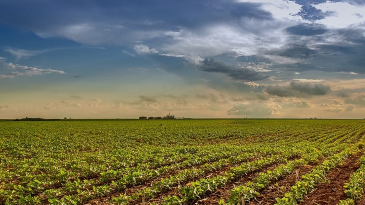 SGG-PIB-CRESCIMENTO-AGRO