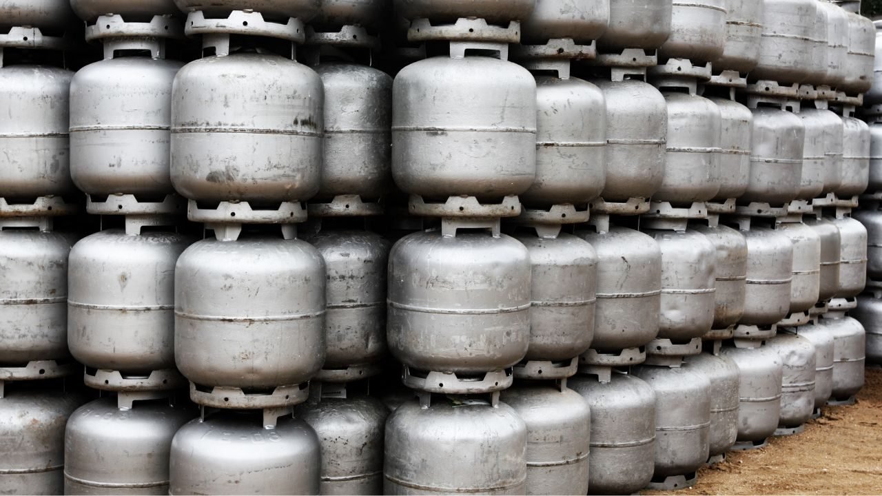 Texto do seu parágrafo (16)