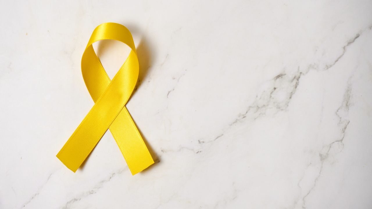 Texto do seu parágrafo