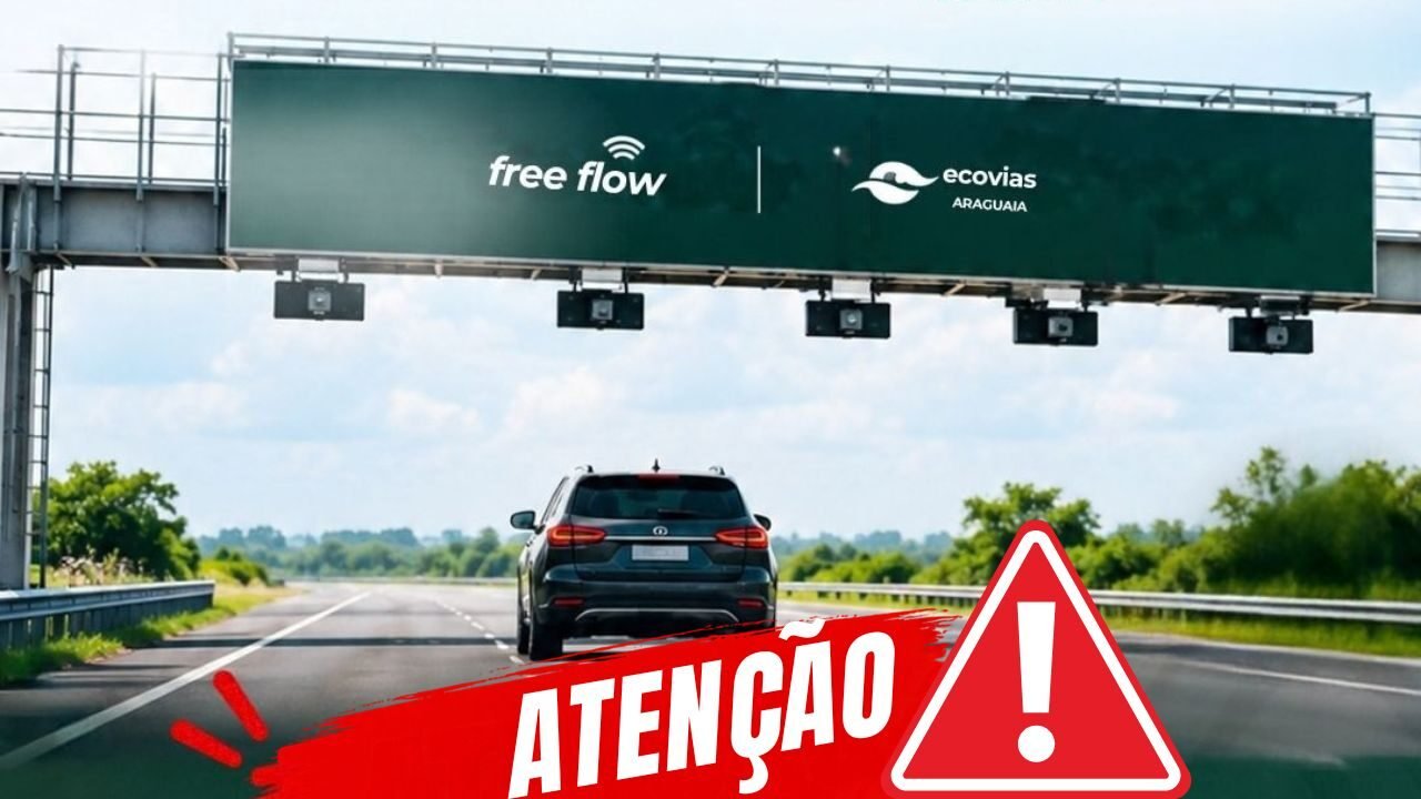 Texto do seu parágrafo