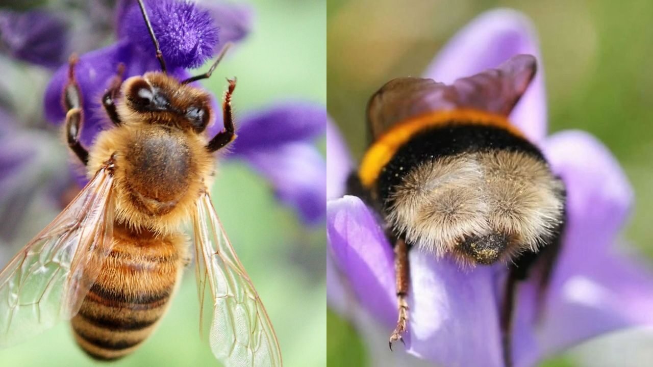 Texto do seu parágrafo (9)