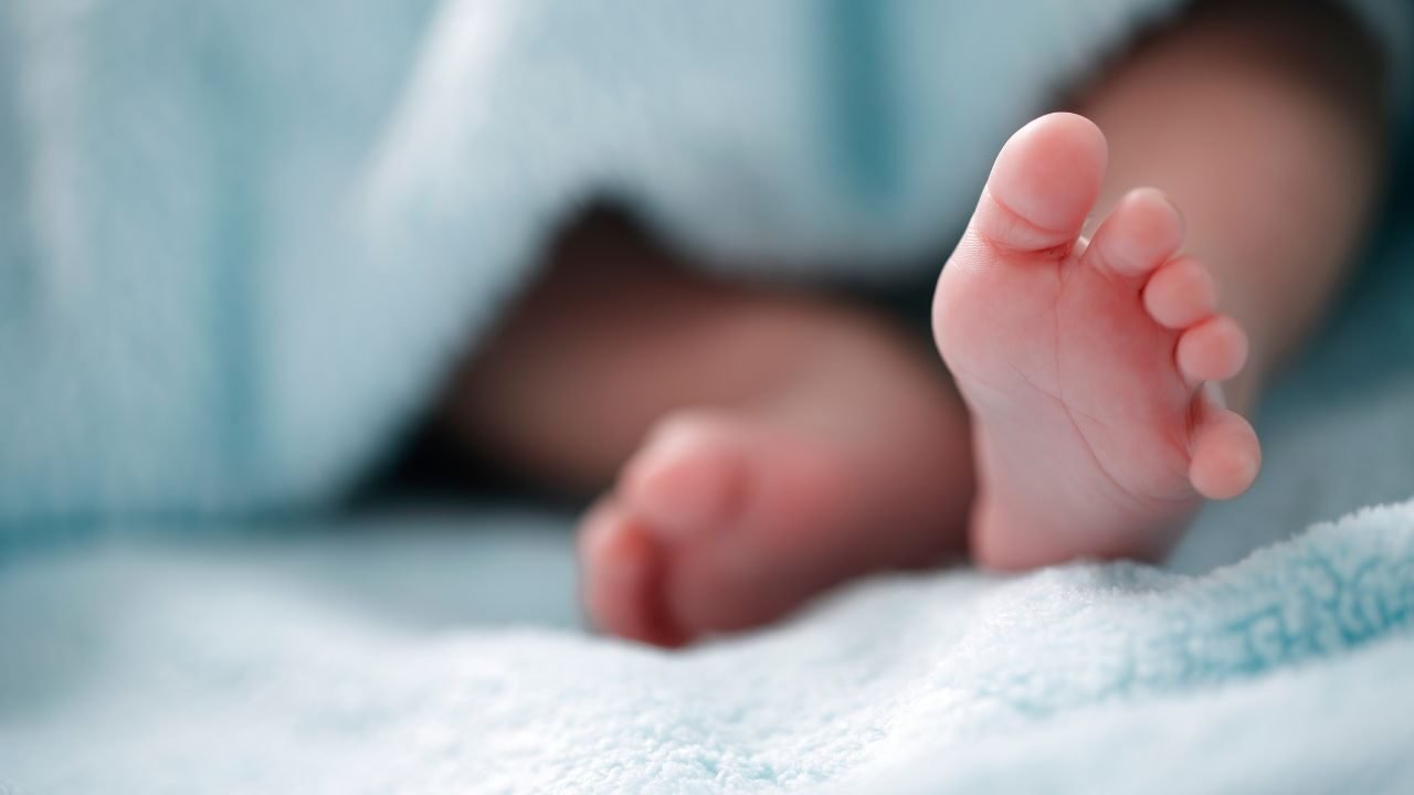 Texto do seu parágrafo