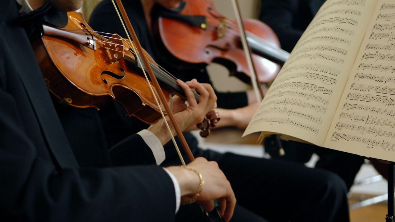 Texto do seu parágrafo