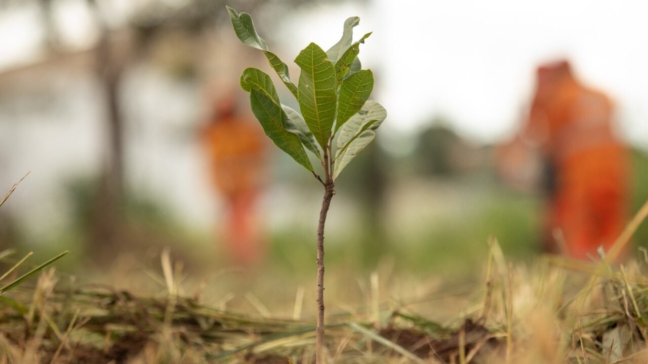 WhatsApp Image 2022-01-20 at 17.52.07