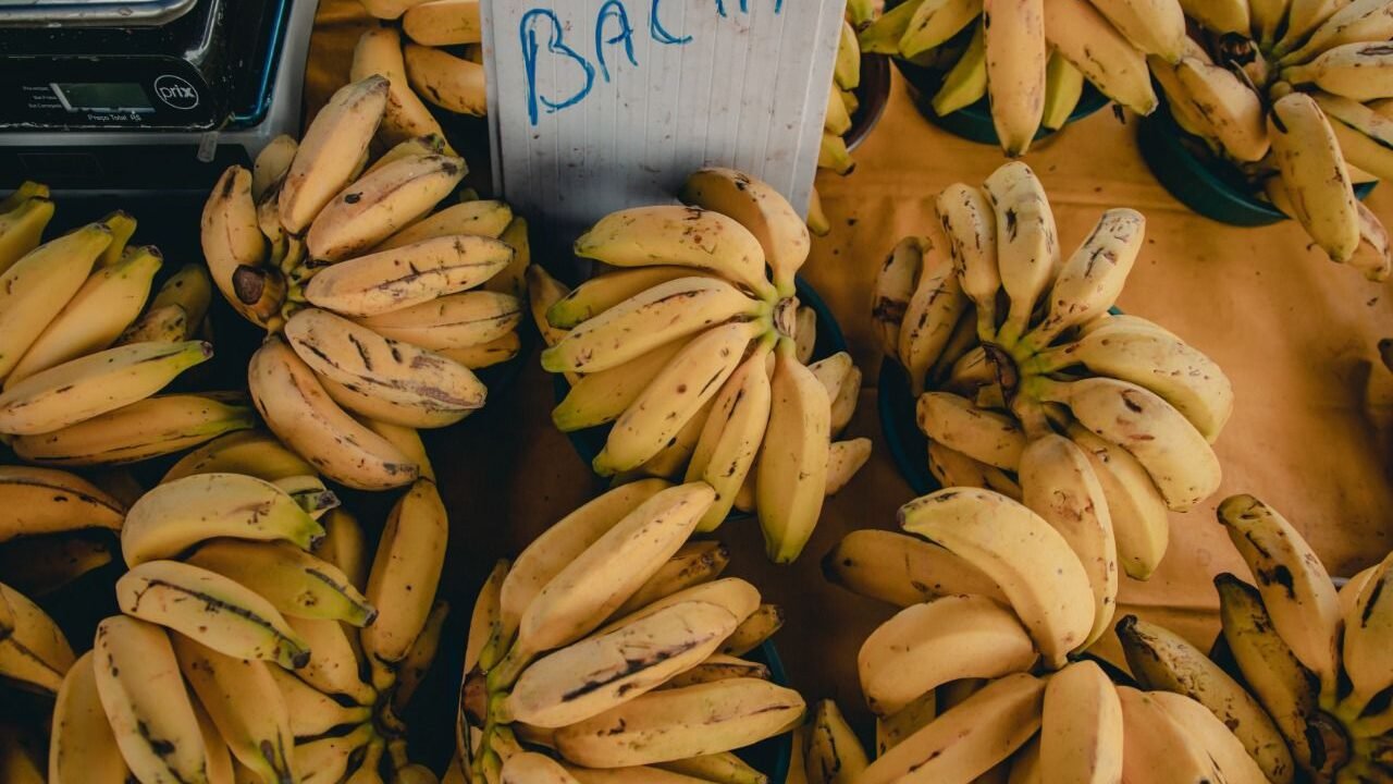 WhatsApp-Image-2022-06-06-at-17.44.44