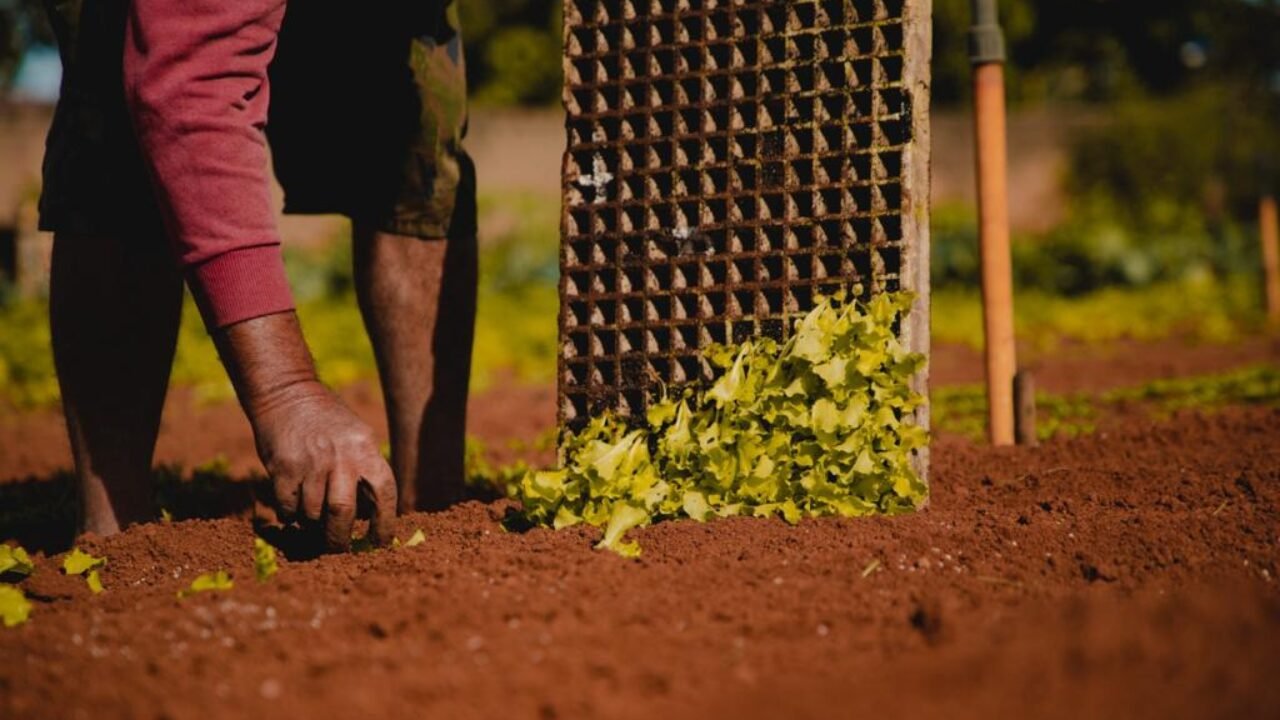 WhatsApp Image 2022-07-22 at 16.08.26