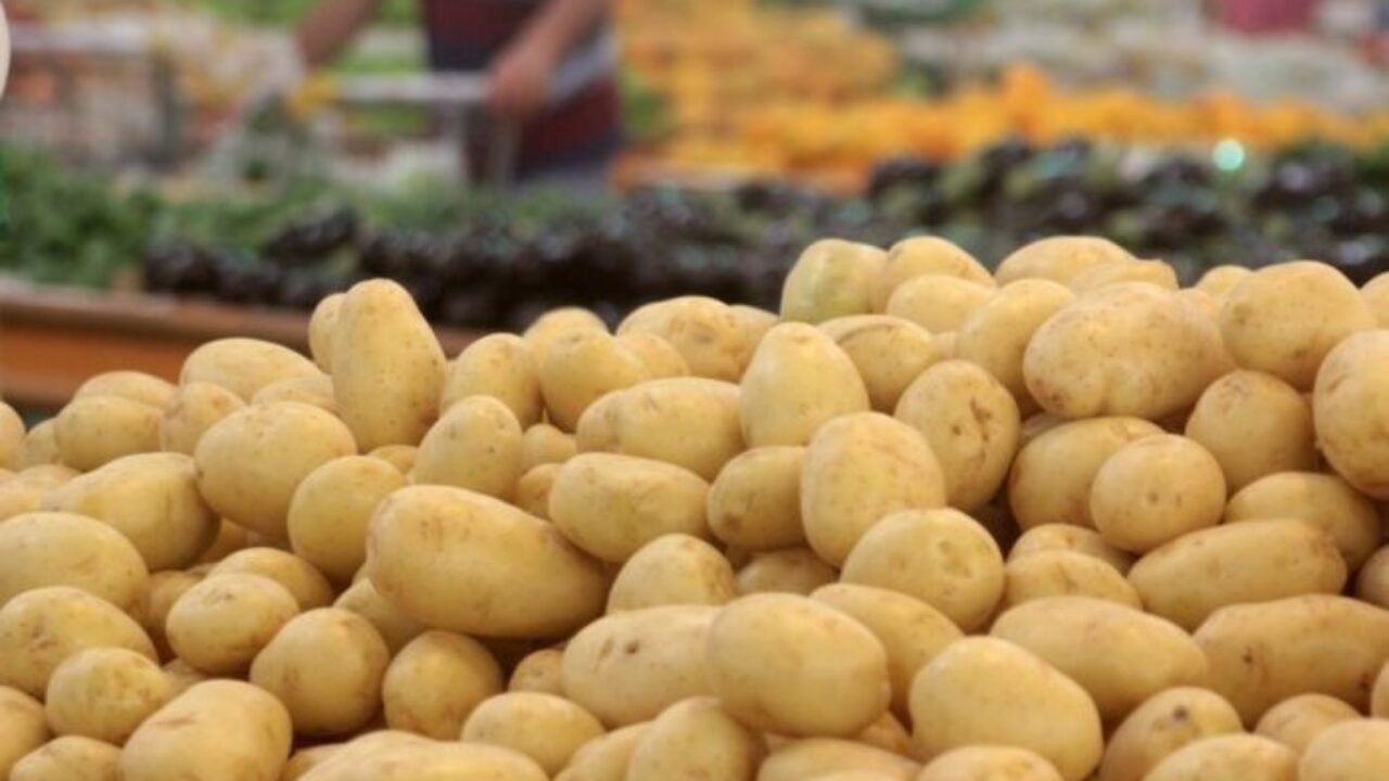 WhatsApp Image 2022-12-16 at 15.40.06