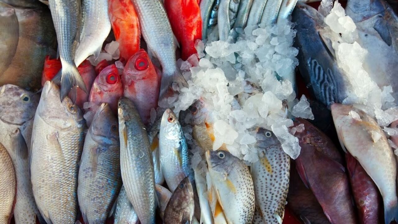 Imagem de pescados