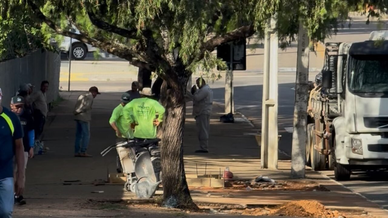 WhatsApp Image 2025-05-21 at 11.31.16