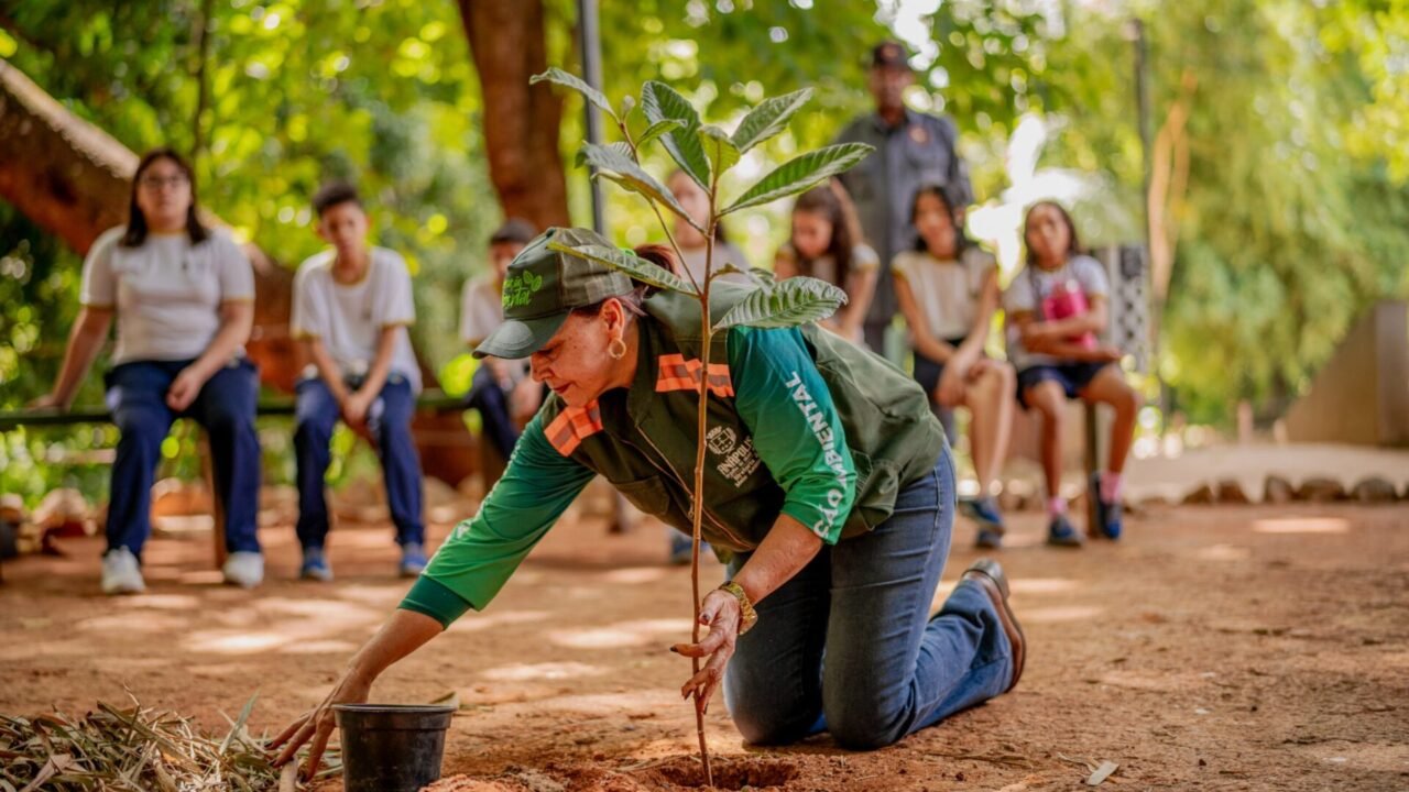 WhatsApp Image 2025-05-23 at 16.54.15