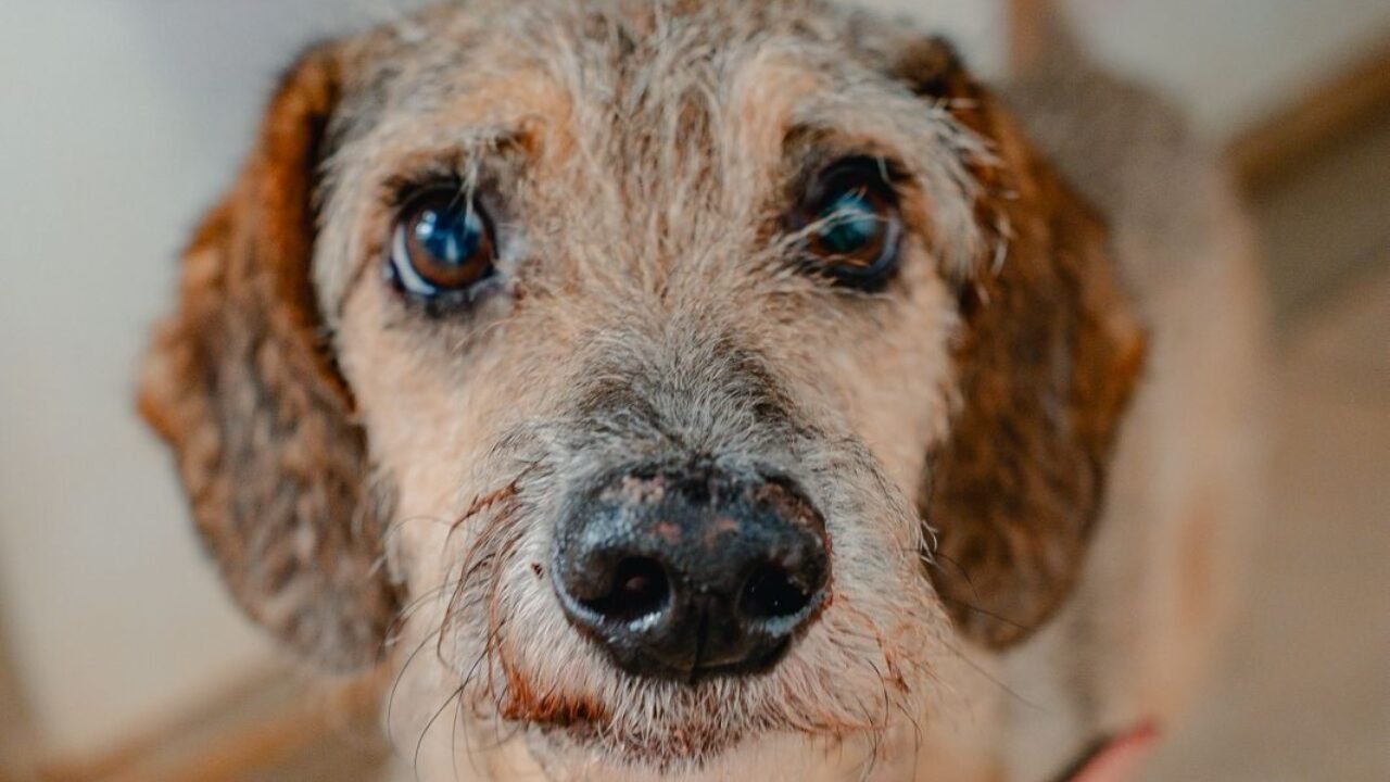 WhatsApp Image 2025-05-30 at 17.01.47