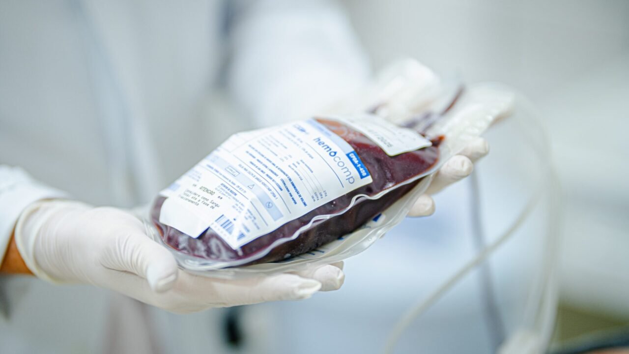 WhatsApp Image 2025-06-12 at 16.20.10