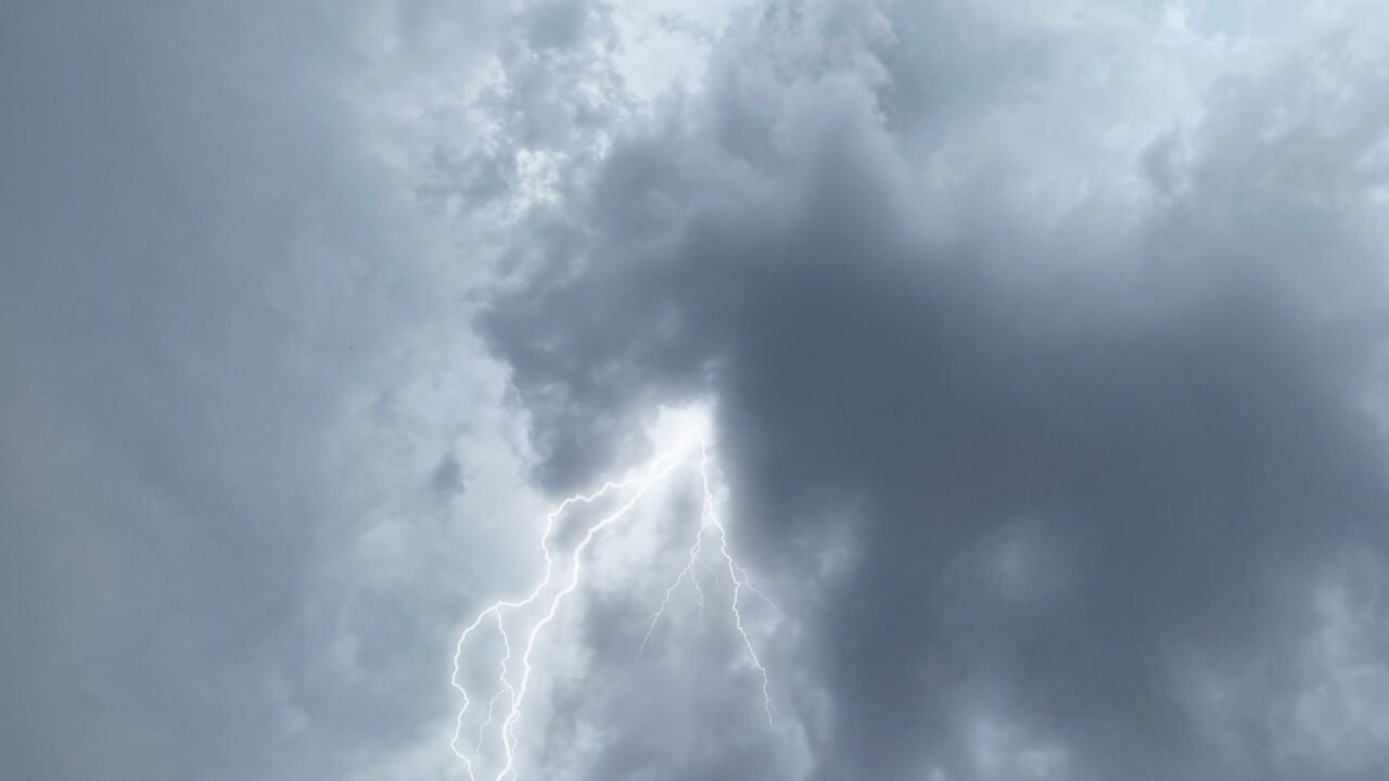 WhatsApp Image 2025-11-11 at 08.57.06