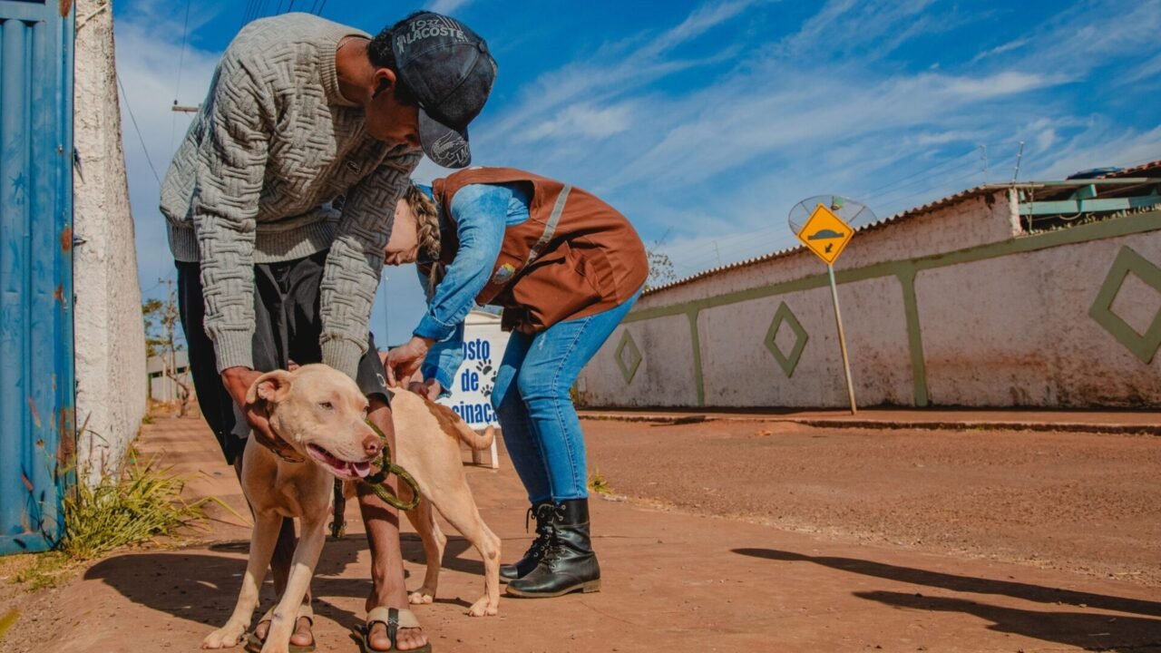 WhatsApp Image 2026-01-31 at 08.22.21