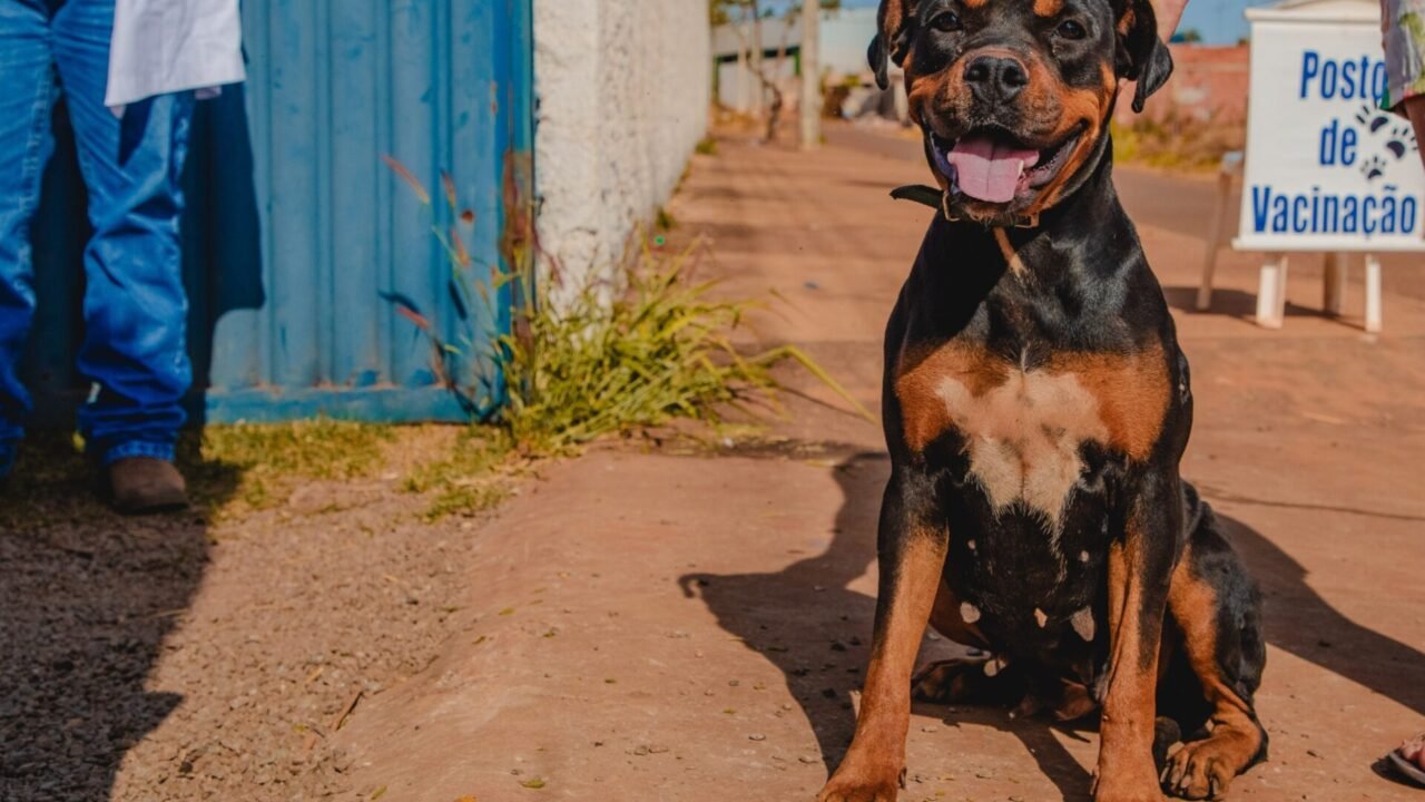 WhatsApp Image 2026-02-23 at 10.11.00