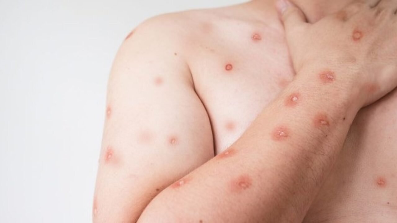 WhatsApp Image 2026-02-26 at 17.09.50