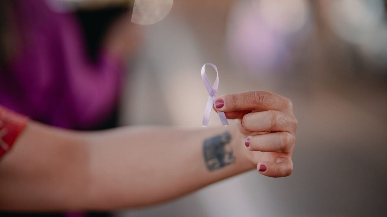 WhatsApp Image 2026-03-03 at 10.14.47