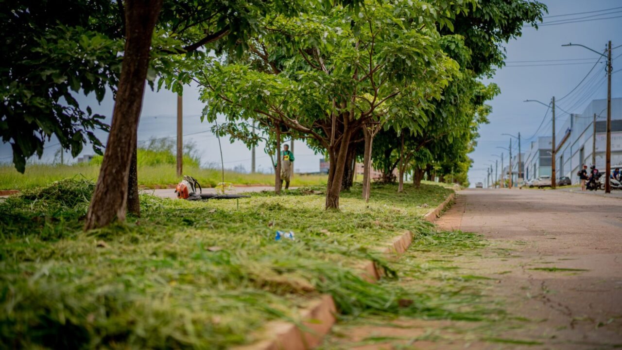 WhatsApp Image 2026-03-04 at 08.19.23 (1)