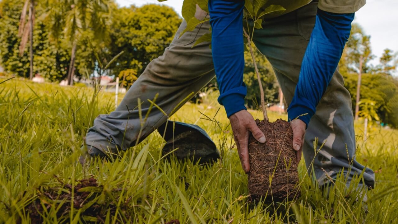 WhatsApp Image 2026-03-17 at 14.18.13