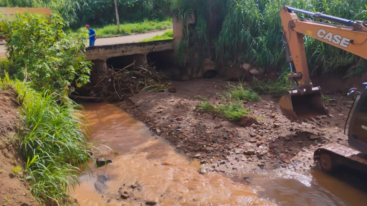 WhatsApp Image 2026-03-23 at 15.54.53