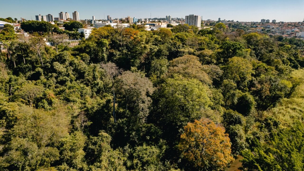 WhatsApp Image 2026-04-23 at 14.21.07