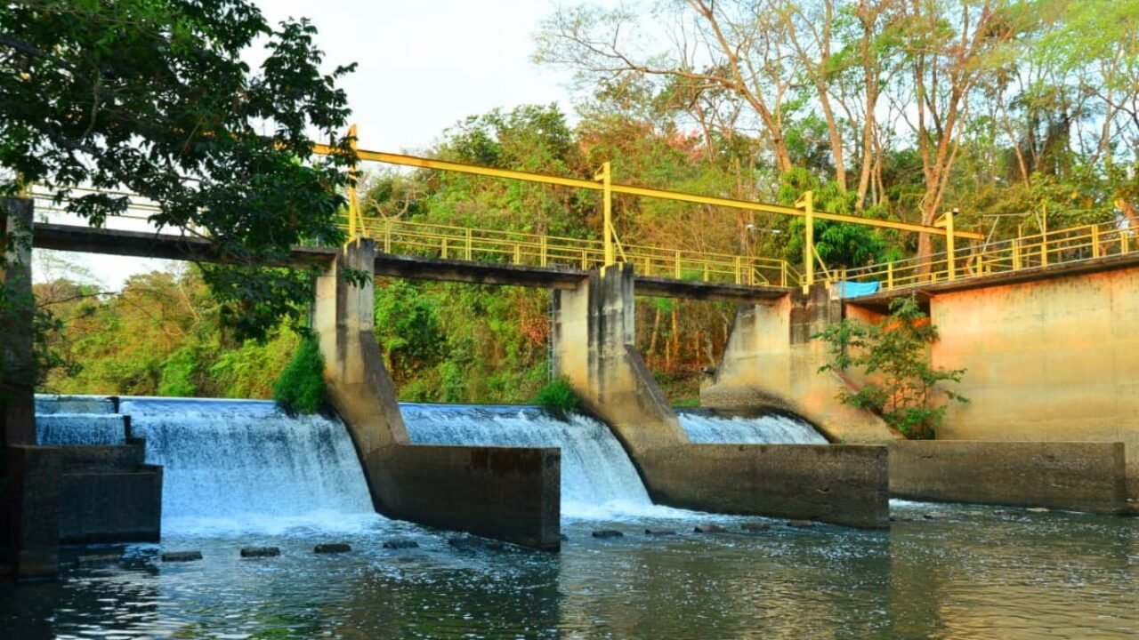 WhatsApp_Image_2021-08-18_at_205210