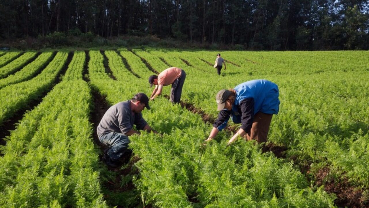 agro