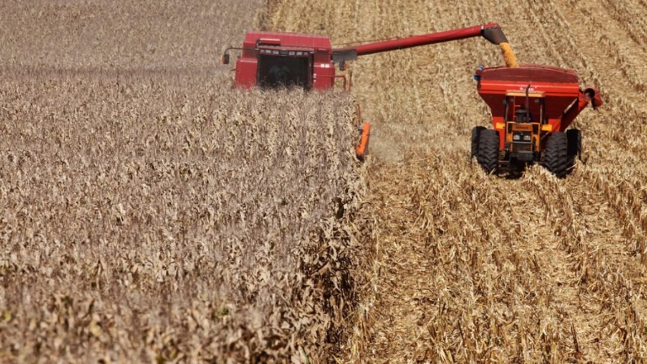 agro