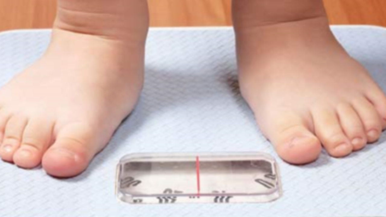 b6ddb1640e40bdd68db56d48e7164c4813c0819bad11420b1fe7db253f4a5ce3 (1)