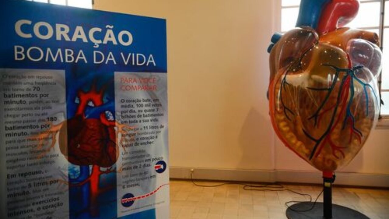 Rio de Janeiro - Exposição Vias do Coração no Museu da Vida, no Castelo da Fiocruz,  divulga o conhecimento sobre o coração, para estimular a prevenção das doenças cardiovasculares (Tomaz Silva/Agência Brasil)