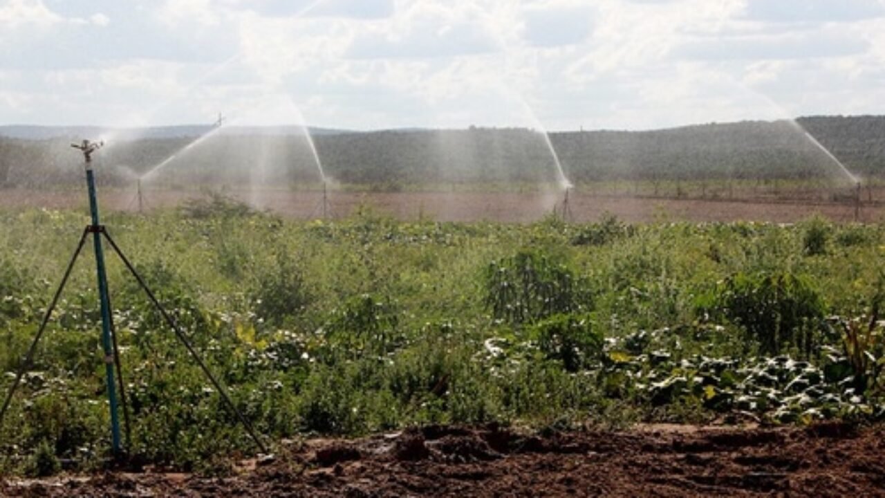 b6ddb1640e40bdd68db56d48e7164c4813c0819bad11420b1fe7db253f4a5ce3 (9)