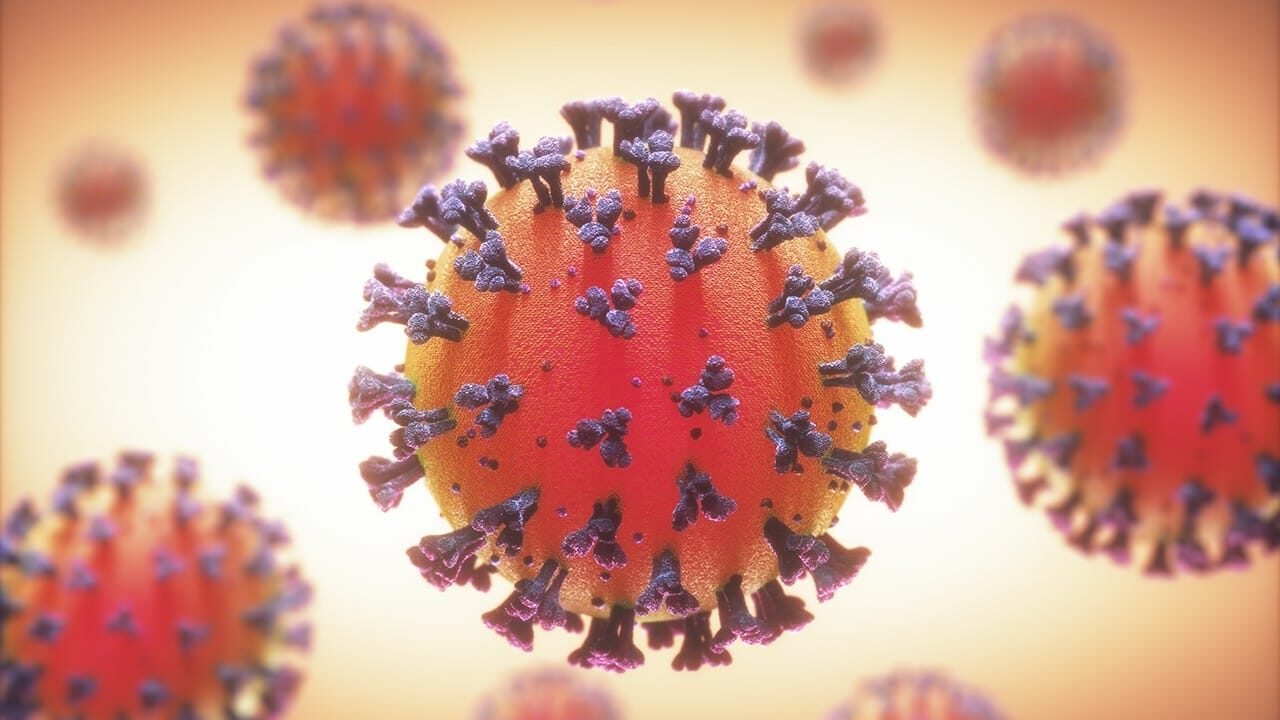 blog-coronavirus