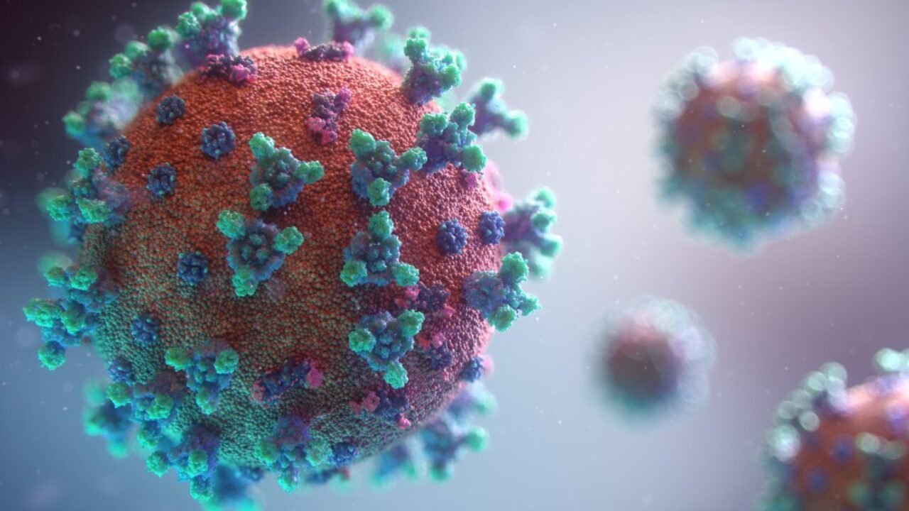 coronavirus-fusion-medical-animation-unsplash (1)