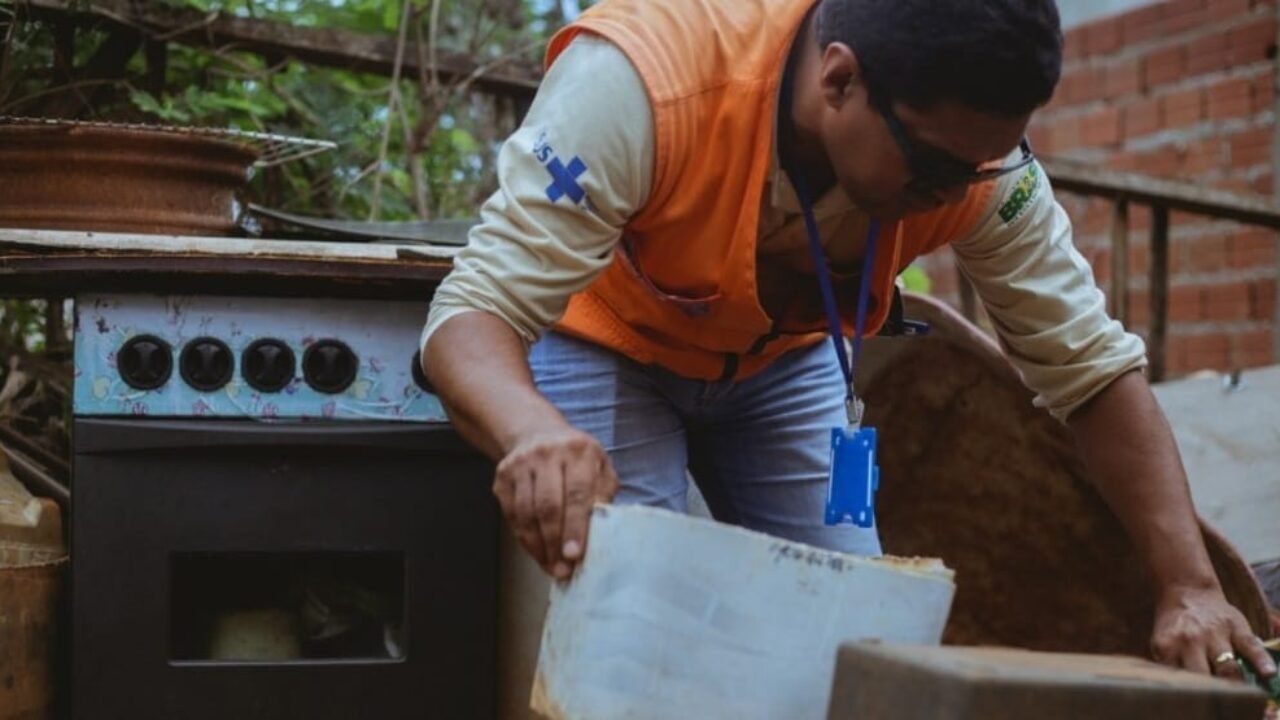 dengue-20191206-085818