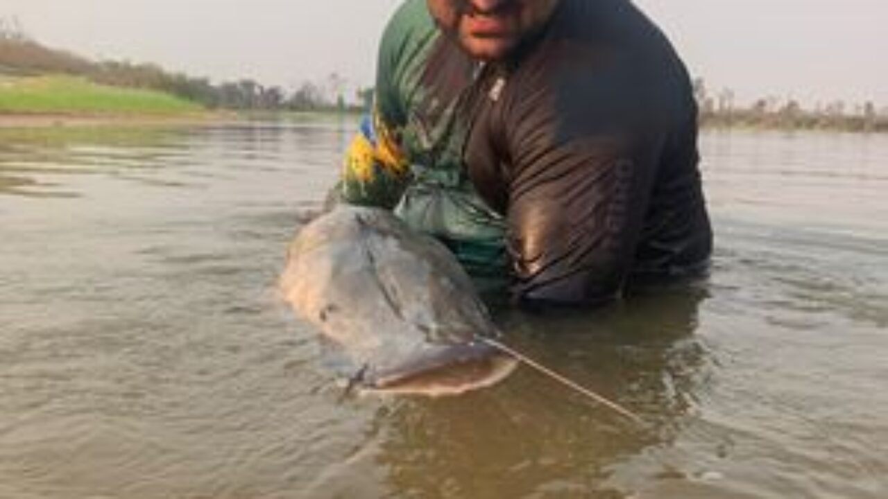 e0090f34-c4f2-4e96-9ab8-eb7eec81998c