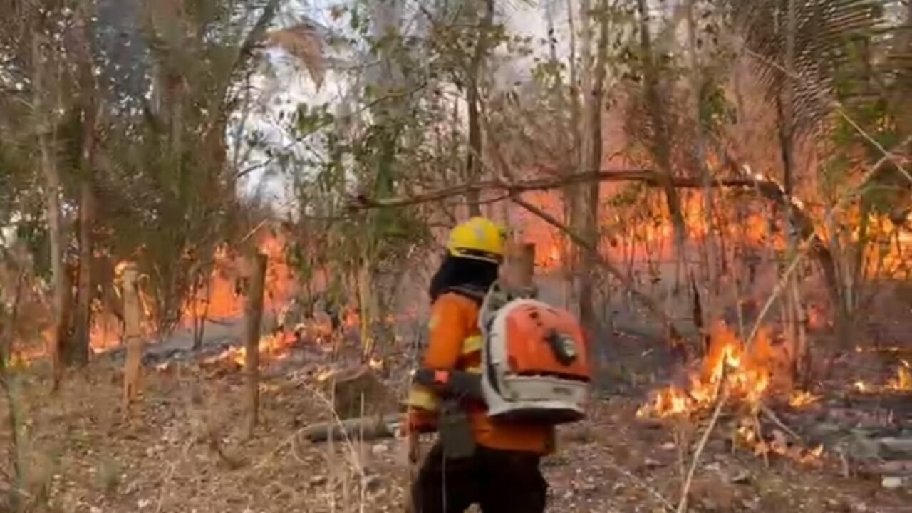 incendio-na-chapada-dos-veadeiros-ja-consumiu-87-mil-hectares-do-cerrado