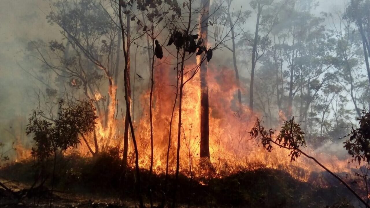 incendio_juquery_credito_chico_honda_ff-1-1024x576
